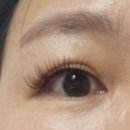 범내골역 6번 출구 | 육아맘 눈 살린 날, 범내골 속눈썹 연장 메이드 윤 솔직 후기