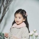 채채