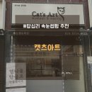 캣츠속눈썹 | 답십리 속눈썹 펌 맞춤 디자인 캣츠아트 추천 후기