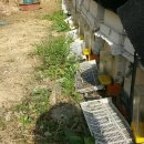 성골 농원 이미지