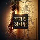 금진 | 부산 금진옥액 궁금한 특징 및 금진옥액 후기 정보 정리