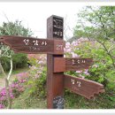 백양산 애진봉 이미지