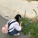 경숙분식 | 알차게 즐기기🤭🩵(찐빵땟거리술빵/신토불이감자옹심이/코끼리분식/속초해수욕장/승진호홍게무한리필)