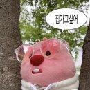 채솔이네 이미지