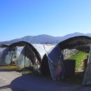 대일농장 이미지