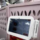 섹시한떡볶이 | 의정부 제일시장 맛집, 의정부 섹시한떡볶이 홀에서 먹고 온 후기 : 메뉴 조합 및 홀 이용 꿀팁