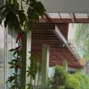 코브바버샵 | 세부시티 저가 숙소 실체와 시내 여행 팁 – 홀리데이 스파, 시암(SIAM) 레스토랑 솔직 후기