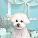 메종VIP203 이미지