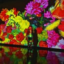 스위스마을113동 | 제주 여행 2일차 (일오반식당/빛의벙커/녹차동굴/광어다/사려니숲길/스위스마을/성산봄죽칼국수)