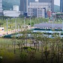 새물공원 이미지