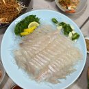 청해횟집 | [대구맛집] 대구 신천동 깔끔한 횟집 청해횟집 내돈내산 방문후기 _ 룸있어서 회식 모임장소로 딱!