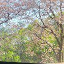 안동자동차검사소 이미지