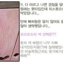 파레트 티스토리