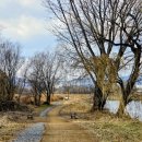 선기로-1 이미지