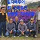 일지매여행사