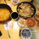 한조민박 | [공지] 제주 애견동반 여행 열흘살기 숙소 일정 코스 추천 25년 10월