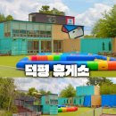 강릉 애견동반 숙소 식당 카페 가볼만한곳 이대로 다녀오세요!