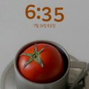 단아네일