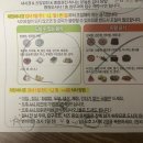 웰니스병원 옆 | 웰니스병원 수면 위대장내시경 순서 및 원프렙 후기