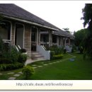 앨리스 인 원더랜드 이미지