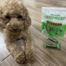 덴탈24 | [굿포펫] 엔자이츄 강아지덴탈껌 급여후기