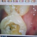 김철훈치과의원 이미지