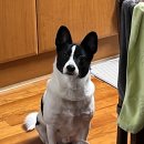 우리안경 | 24년 2월의 진이