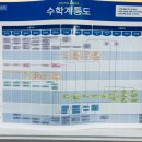 맥수학영어전문학원