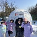 숲속 하얀 뜰 이미지