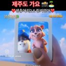 금병초등학교 병설유치원 이미지