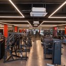 일프로짐 이미지