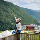 산양목장 Daum카페