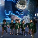 9월19일(금)_현장체험학습(롯데월드 아쿠아리움) 이미지