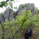 미추홀대로 662 건너편 횡단보도 | 굴암산(662m) /경남 김해