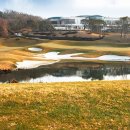 테디벨리 이미지