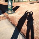 사진을 찍다 이미지