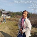 월야면사무소 이미지