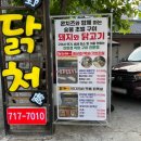 돼지야&닭 이미지