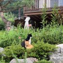 연천비경펜션 이미지