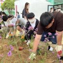 화순도곡중학교 이미지