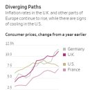 이효석길 이미지