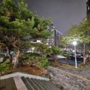 서구청소년수련관 주차장 이미지