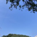 세림 이미지