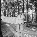 동해체육공원 이미지