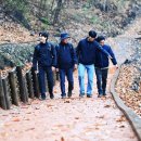금지순환길 뉴시스