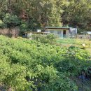 강상면사무소 이미지