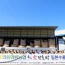 안동농협 농산물유통센터 이미지