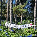 산기슭목장 이미지