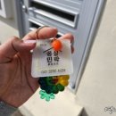 몽실민박 이미지