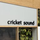 인동네거리 | 성심당 갔다가 꼭 들르는 곳, 대전 대흥동 강아지 카페 디저트 맛집 크리켓사운드